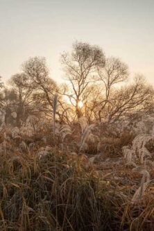 gauthier.wpbromo.com