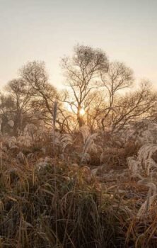 gauthier.wpbromo.com