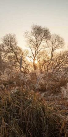 gauthier.wpbromo.com