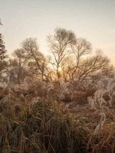 gauthier.wpbromo.com