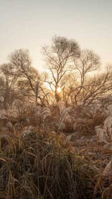 gauthier.wpbromo.com