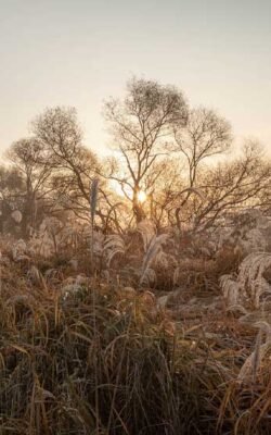 gauthier.wpbromo.com