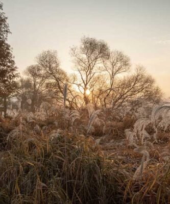 gauthier.wpbromo.com