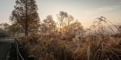 gauthier.wpbromo.com