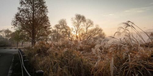 gauthier.wpbromo.com