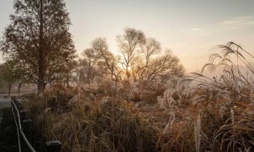 gauthier.wpbromo.com