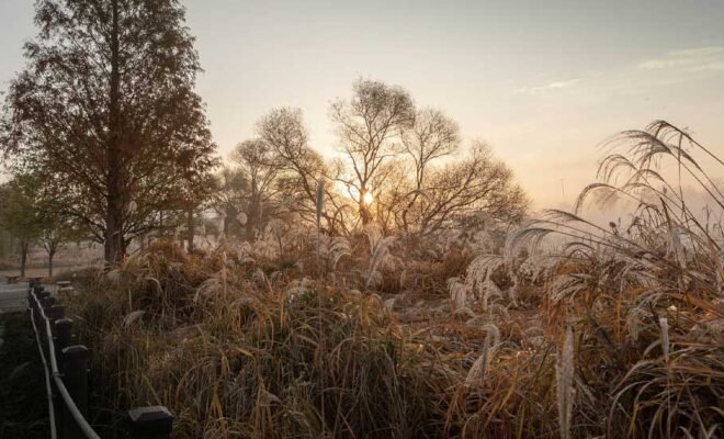 gauthier.wpbromo.com
